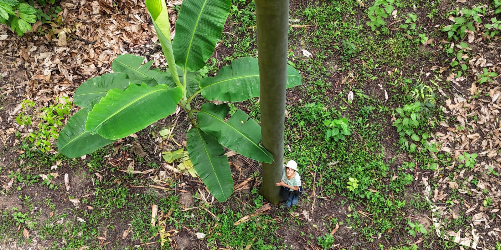 Tag 12: Doriza Caballero