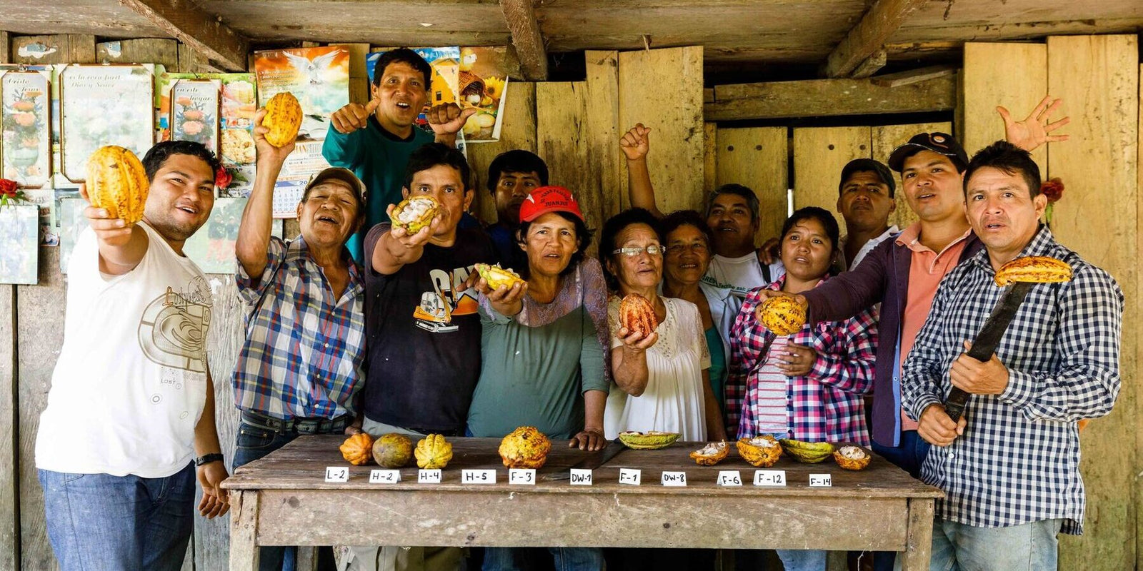Wie Alles Begann - Die Geschichte Hinter  Choba Choba