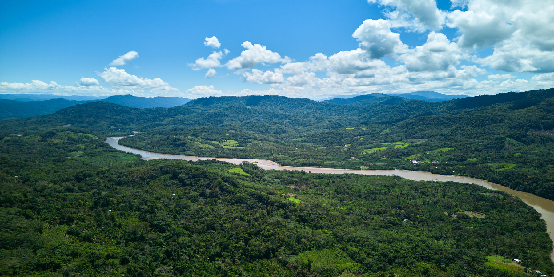 Tag 2: Der tropische Regenwald und seine Bedeutung für uns