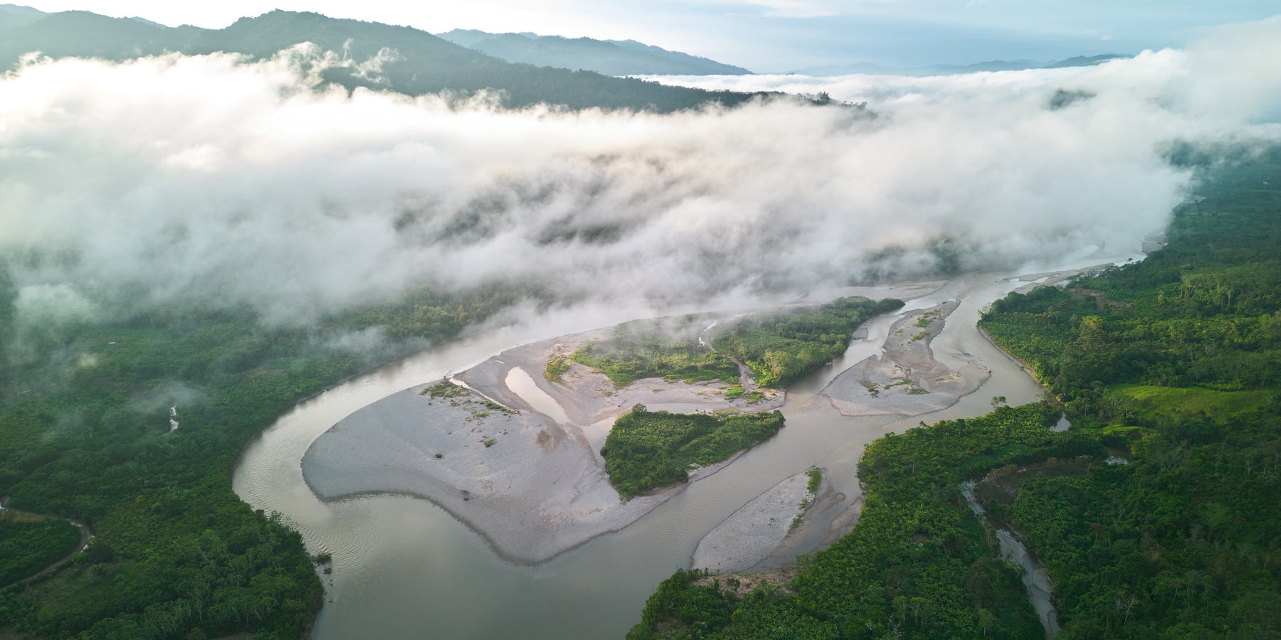 Tag 3: Die entscheidende Rolle der tropischen Wälder bei der Klimaregulierung